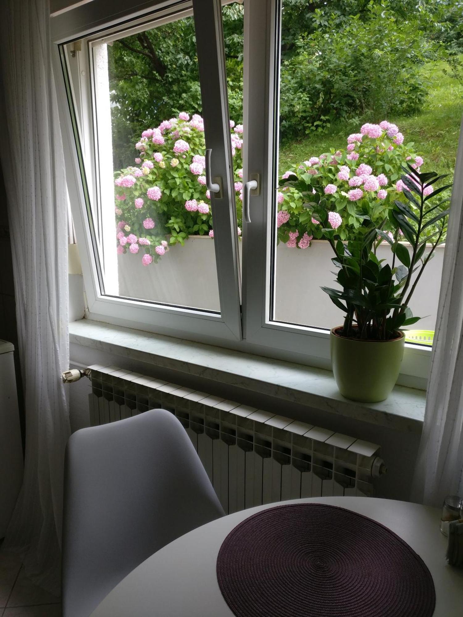 Apartman Malina Karlovac Eksteriør bilde